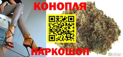 гидропоника Новоалександровск