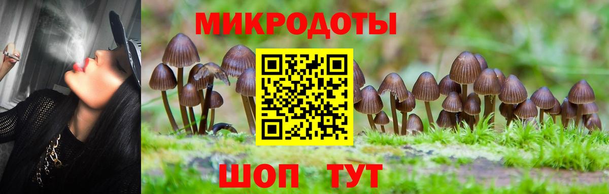 Королёв  Галлюциногенные грибы мицелий  Вход с VPN 